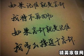 精美语句摘抄,尽展文采之美