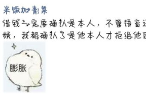 笑到窒息的沙雕句子