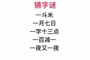 一夜又一夜猜一字,一夜又一夜，一字谜底揭晓