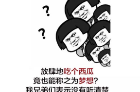 文字笑话段子精选,精选文字笑话段子集锦