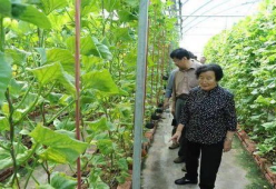 娱乐吃瓜场地图片真实,一场视觉与味蕾的双重盛宴