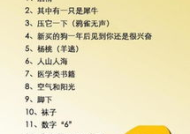 史上最难的谜语大全,智慧与谜题的终极对决